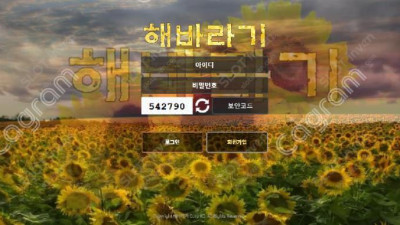 해바라기 먹튀 확정