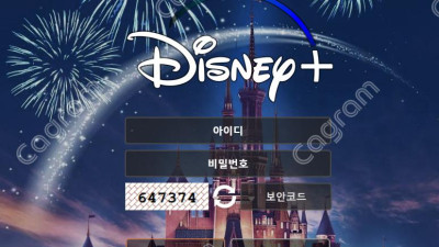 디즈니플러스 먹튀 검증 DIS49.COM 먹튀확정