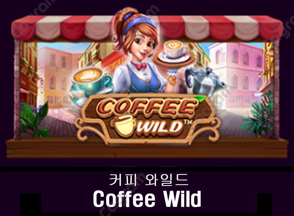 [프라그마틱] 커피 와일드 (Coffee Wild)