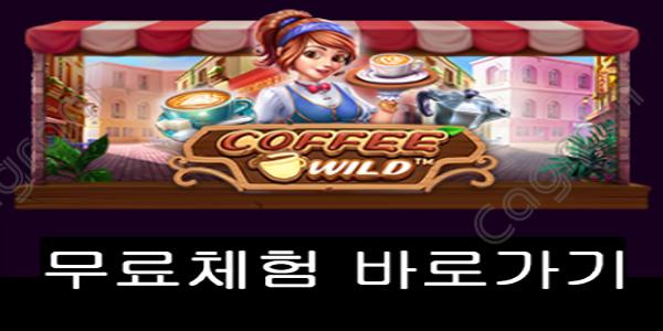 [프라그마틱] 커피 와일드 (Coffee Wild)