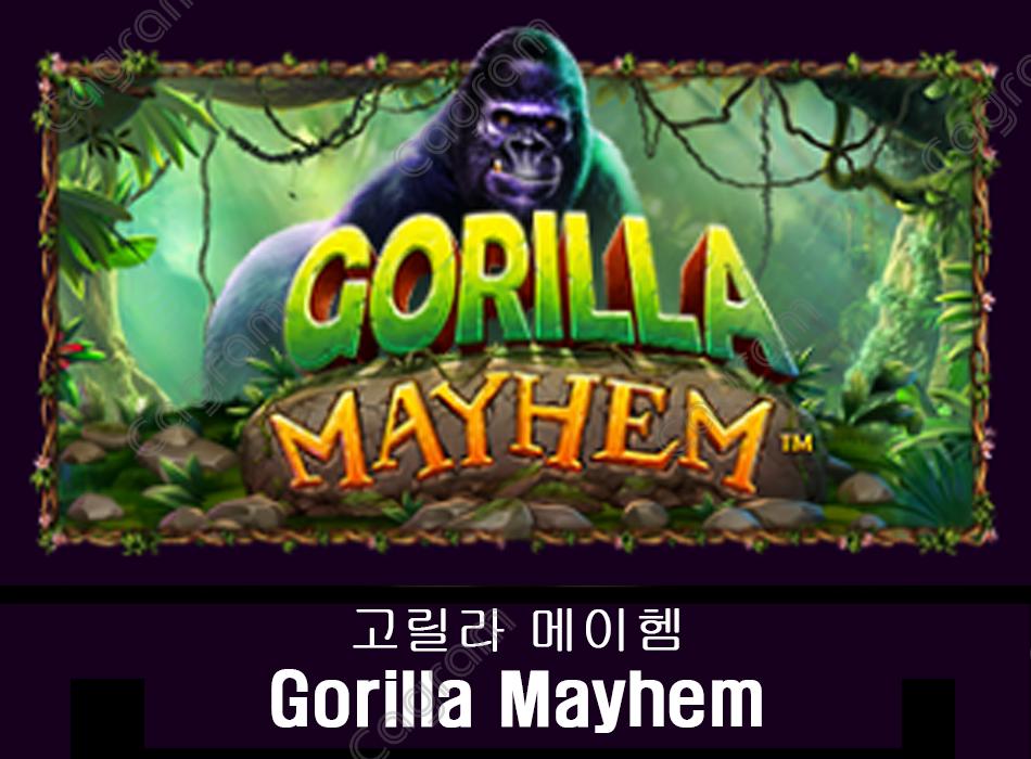 [프라그마틱] 고릴라 메이헴 (Gorilla Mayhem)