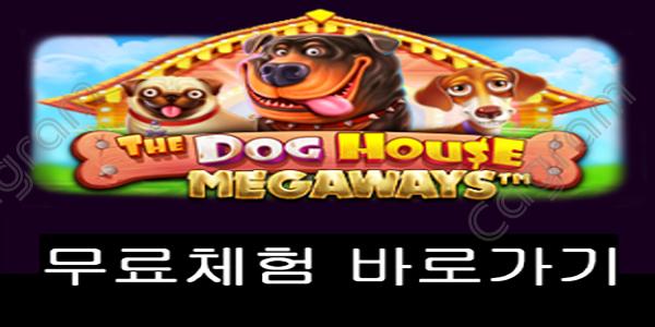 [프라그마틱] 더 도그 하우스 메가웨이즈 (The Dog House Megaways)