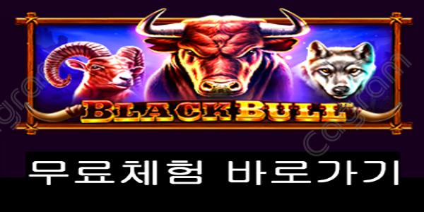 [프라그마틱] 블랙 불 (Black Bull)