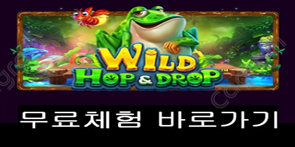 [프라그마틱] 와일드 홉&드롭 (Wild Hop&Drop)