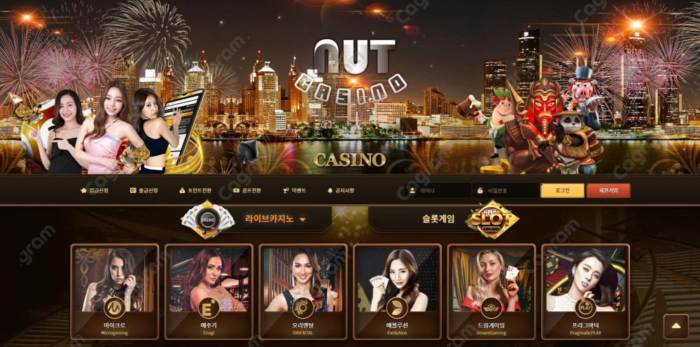 너트카지노 먹튀 신고 NUT-01.COM 먹튀확정