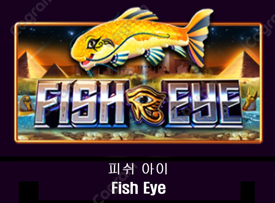 [프라그마틱] 피쉬 아이 (Fish Eye)