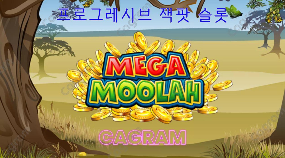 마이크로게이밍 Mega Moolah 슬롯-카그램