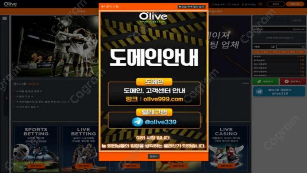 올리브 먹튀