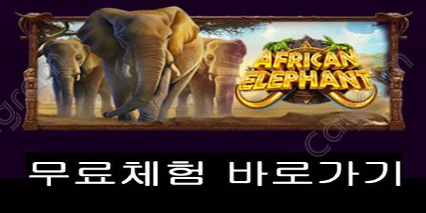 [프라그마틱] 아프리칸 엘리펀트 (African Elephant™)