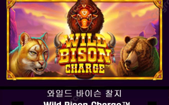 [프라그마틱] 와일드 바이슨 찰지 (Wild Bison Charge™)