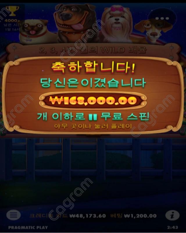 멍멍이.webp