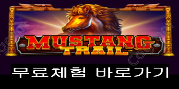 [프라그마틱] 무스탕 트레일 (Mustang Trail™)