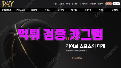 페이 먹튀검증 PAY-TT.COM 양방배팅 헛소리로 환전회원들 혈압채우고 먹튀한다는 사이트 검거완료