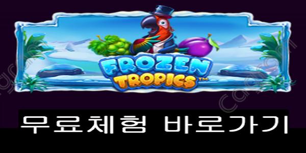 [프라그마틱] 프로즌 트로픽스 (Frozen Tropics™)