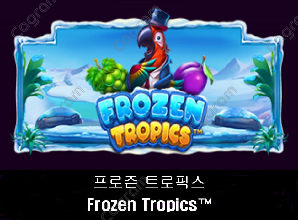 [프라그마틱] 프로즌 트로픽스 (Frozen Tropics™)