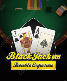 [플레이앤고] Double Exposure BlackJack