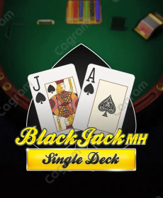 [플레이앤고] Single Deck BlackJack