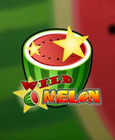 [플레이앤고] Wild Melon