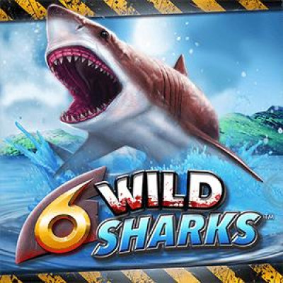 [릴렉스게이밍] 6 Wild Sharks