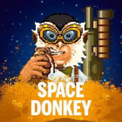 [노리밋시티] Space Donkey