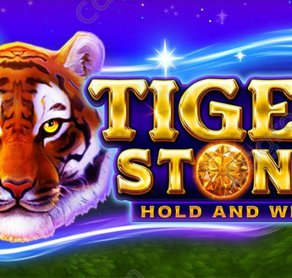 [부운고] Tiger Stone