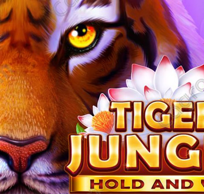 [부운고] Tiger Jungle