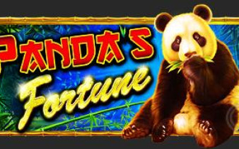 [프라그마틱] 판다의 포춘 Panda Fortune