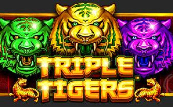 [프라그마틱] 트리플 타이거즈 TRIPLE TIGERS