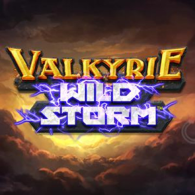 [릴렉스게이밍] Valkyrie Wild Storm