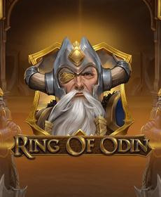 [플레이앤고] Ring of Odin