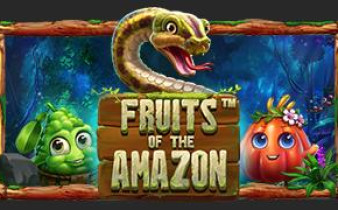 [프라그마틱] Fruits of the Amazon