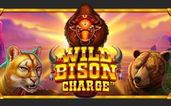 [프라그마틱] Wild Bison Charge