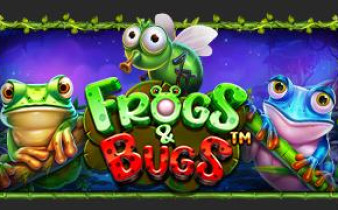 [프라그마틱] Frogs & Bugs