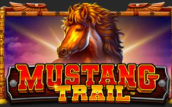 [프라그마틱] Mustang Trail