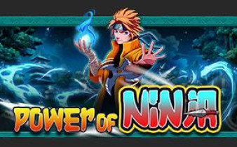 [프라그마틱] Power of Ninja