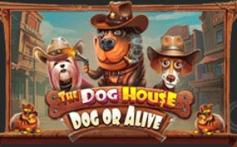 [프라그마틱] The Dog House – Dog or Alive