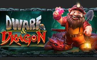[프라그마틱] Dwarf & Dragon